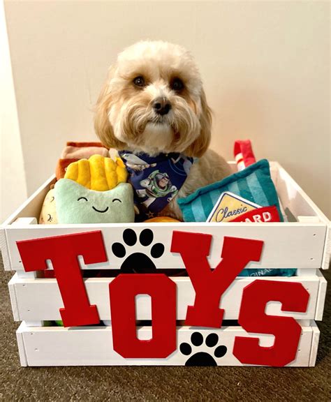 DIY How to make a dog toy box | The Annoyed Thyroid