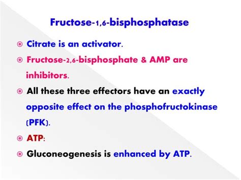 GLUCONEOGENESIS & ITS REGULATION | PPT