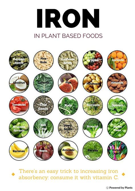 Top Vegan Foods With Iron - Foods Details