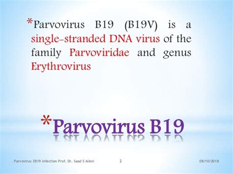 Parvovirus b19 infection