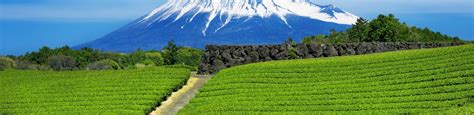 What to see and do in Fuji City - Attractions, tours, and activities | musement