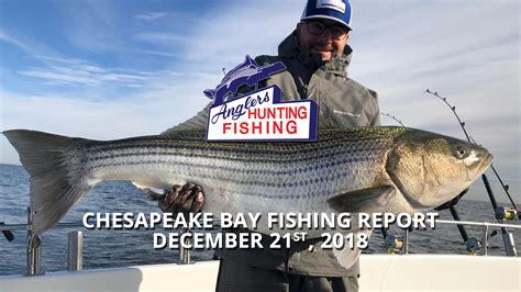 Chesapeake Bay Fishing Report > Anglers Sport Center