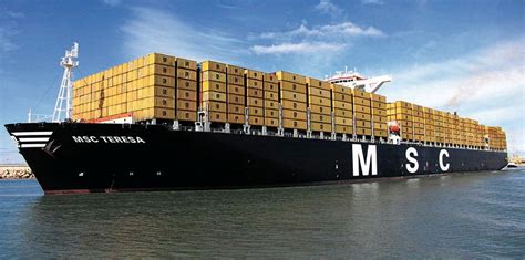 MSC linked to six LNG dual-fuel container ship deal at Hyundai yard ...