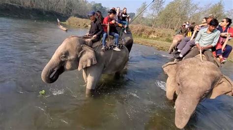 Sauraha: Enjoy The Best Jeep Safari In Chitwan (2023)