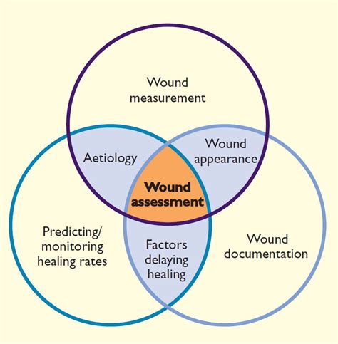 Measure Wound Assessment Tool