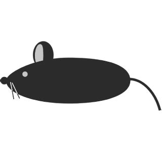 GitHub - iberatkaya/mousebot: MouseBot is a computer automating package ...