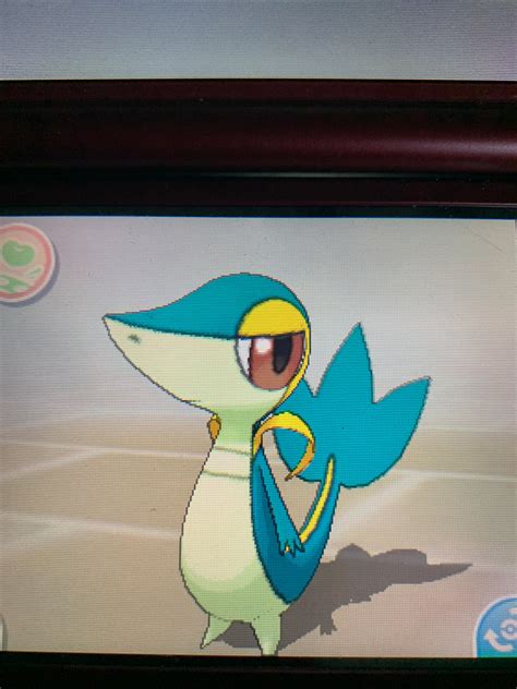 Shiny Snivy!! by KaijuInfinity on DeviantArt