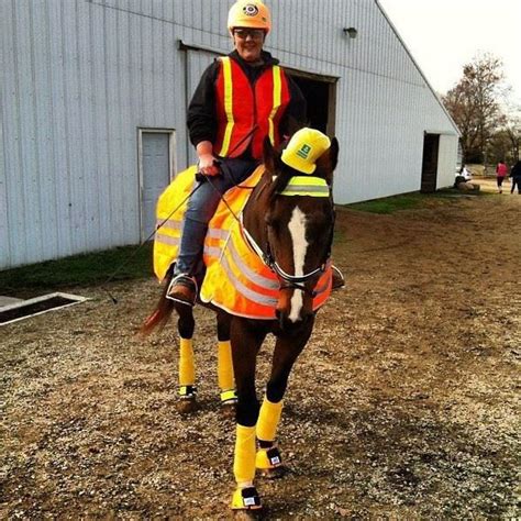 Safety & Construction Worker - Horse Costume Contest Halloween Job Donkey Costume, Horse ...