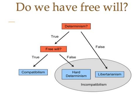 Chapter 5: Free Will VS Determinism Flashcards | Quizlet