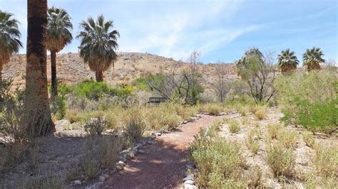 Moapa Valley National Wildlife Refuge NWR | Travel Nevada