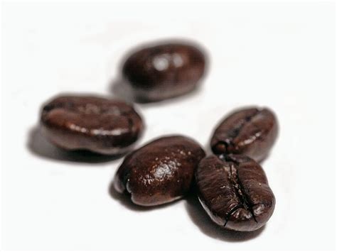 File:Coffee beans brown.jpg - Wikimedia Commons
