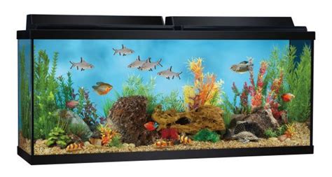 Top Fin 55 Gallon Aquarium Starter Kit - Review & Specs - MyAquarium