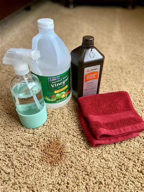 Homemade Carpet Cleaner | Carpet cleaner homemade, Diy carpet cleaner ...