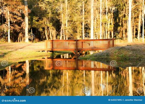 Reflection stock image. Image of outdoors, south, kinda - 64337495