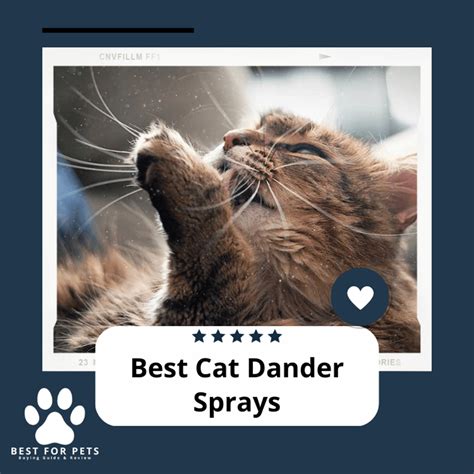 The 10 Best Cat Dander Sprays - BestForPets.org