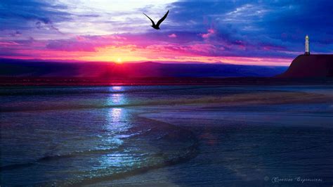 Ocean Sunset Background wallpaper | 1366x768 | #8014