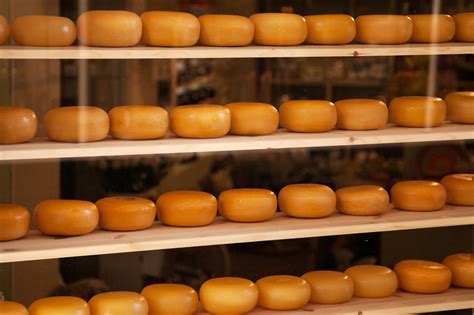 Dutch Cheese Free Stock Photo - Public Domain Pictures