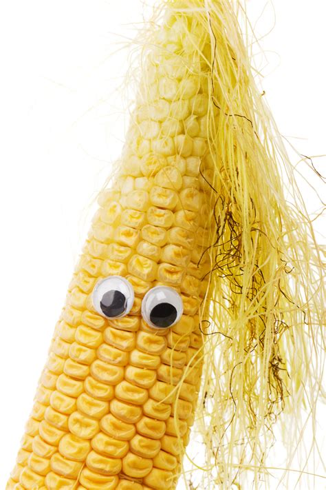 Funny Corn Face Free Stock Photo - Public Domain Pictures