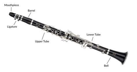 How to Assemble a Clarinet: Basic Info & Advice