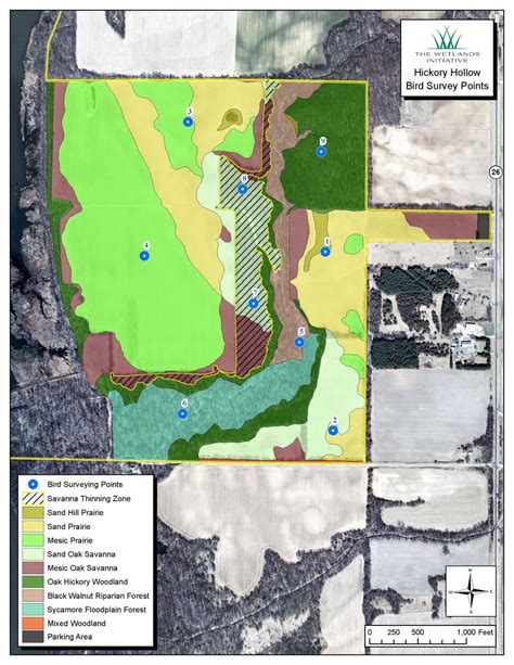 New Hickory Hollow restoration is taking wing — The Wetlands Initiative