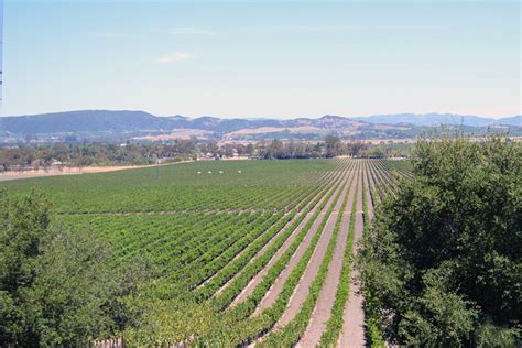 Sonoma Valley Wine Tasting - Sonoma, CA Travel Guide