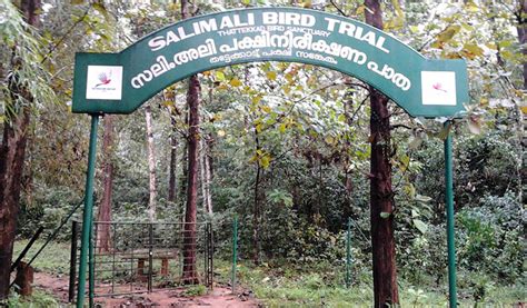 Salim Ali Bird Sanctuary in Munnar