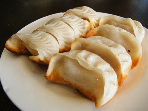 Pan fried pork dumplings | Fried pork, Pork dumpling, Food