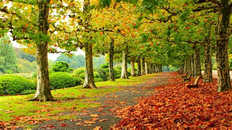 Autumn Scenery Wallpapers, Pictures, Images