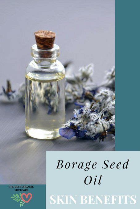 Borage Oil Skin Benefits + A Serum Recipe | Borage oil benefits, Skin benefits