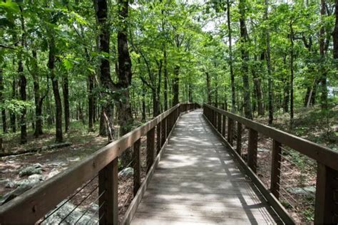 9 Fabulous Trails for Hiking in Alabama • Alabama Bucket List