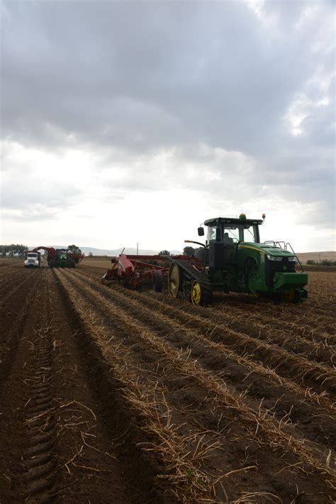 Harvest Begins In Eastern Idaho – Part 1 | Potato Grower Magazine