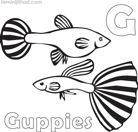 Guppy Coloring Pages PDF - Coloringfolder.com | Animal coloring pages, Coloring pages, Free ...