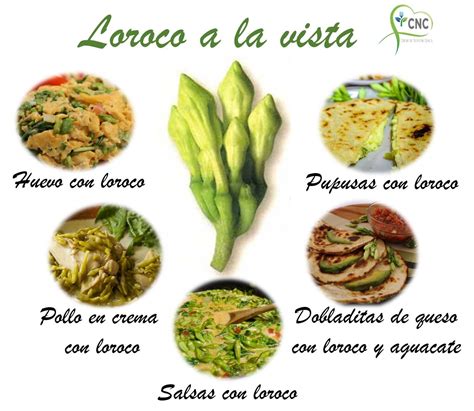 Loroco a la vista | Food, Cnc