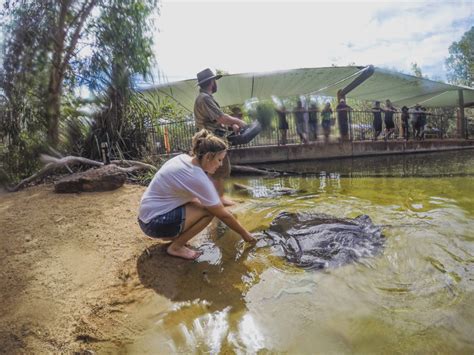 A Guide To Visiting The Territory Wildlife Park From Darwin, Australia