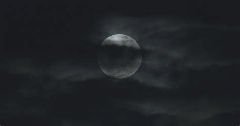 Full Moon in The Sky 3136241 Stock Video at Vecteezy