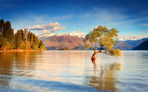 New zealand Island Lake Wanaka | المرسال