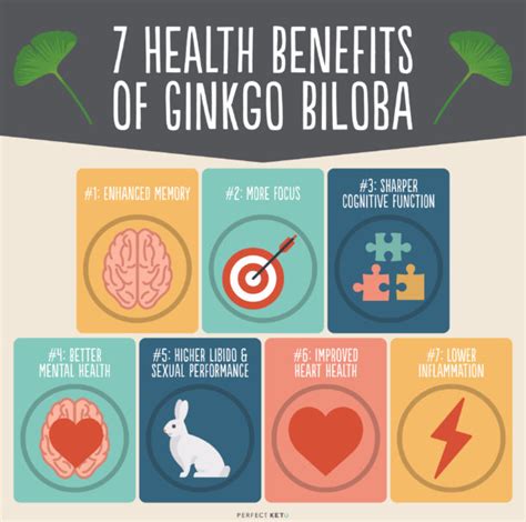 Ginkgo Biloba: How It Can Give You Clarity and Focus - Perfect Keto