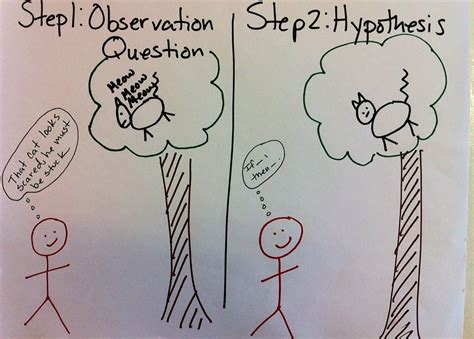 Science in Mrs. Candea's Classroom: The Scientific Method Cartoon