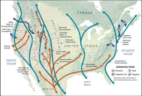 Migratory Corridors Are The Solution For Bottled Up Wildlife