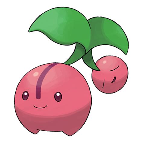 Kikugi | Pokédex