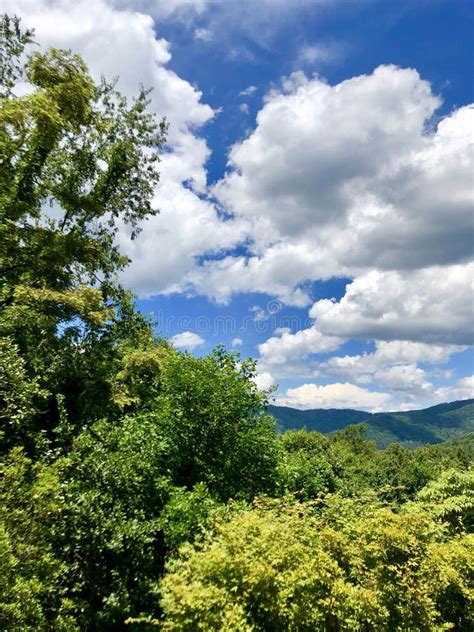 Blue Ridge in Summer stock photo. Image of ridge, mountains - 119591524