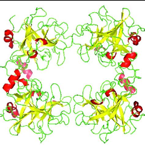 The structure of human-tryptase. Adapted from Sommerhoff et al ...