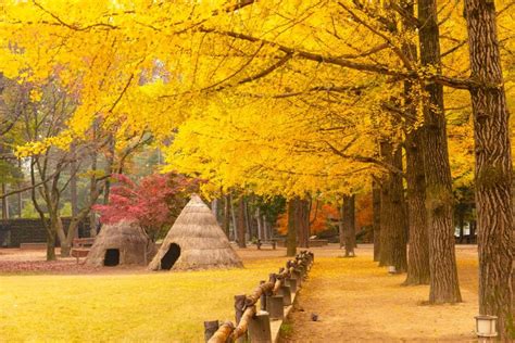 Visiting Korea In October 2023: Foliage | Festivals | Events