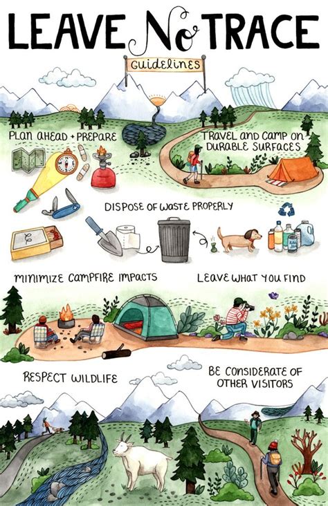 Leave No Trace Printable - Printable Word Searches