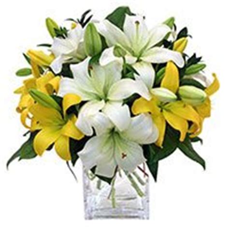 Send Flowers to Hyderabad | Flowers Delivery in Hyderabad