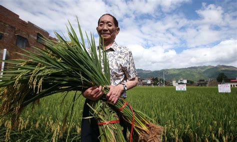 Lasting Honor to Yuan Longping the “World Father of Hybrid Rice ...