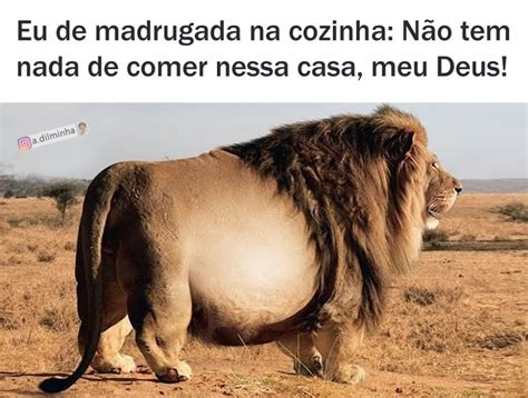 Vou só fechar os olhos aqui não vou dormir. - Memes