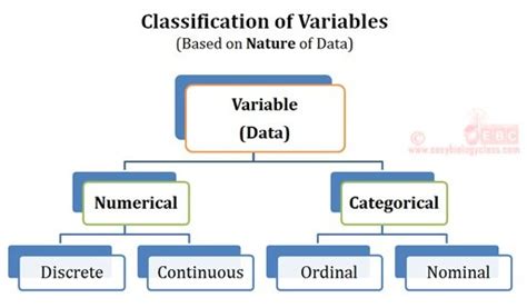 What is Data in Statistics? | EasyBiologyClass