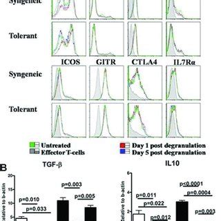 Degranulation blocks transcription of multiple important mediators used ...