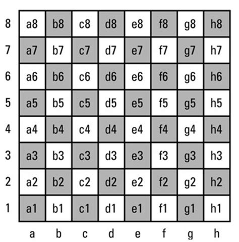 An Introduction to Chess: Revisiting the algebraic notation - Stabroek News